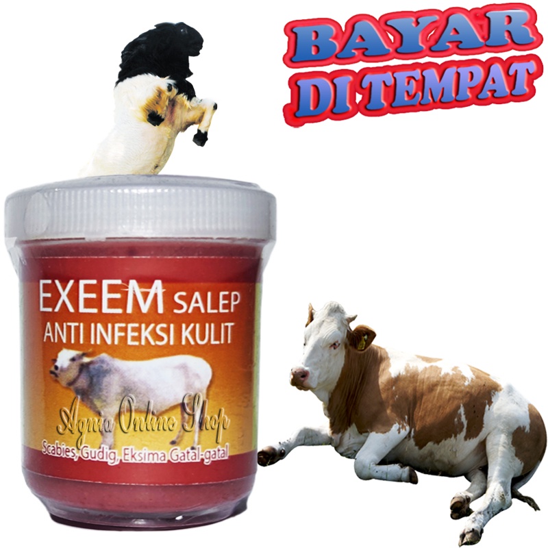 Obat Koreng Sapi Kambing Salep EXEEM Anti Infeksi Luka Jamur Gudik