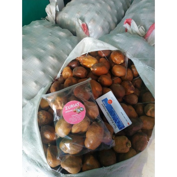 

COD Zuriat Mesir asli 1kg termurah!