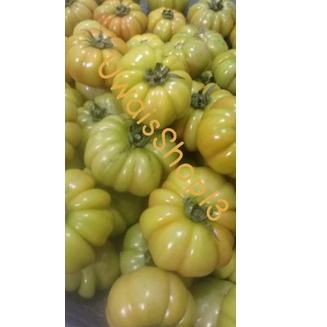 

[H-9W »] Tomat ranti ( tomat khusus sambel tempong khas Banyuwangi ) berat 500gr.-premium