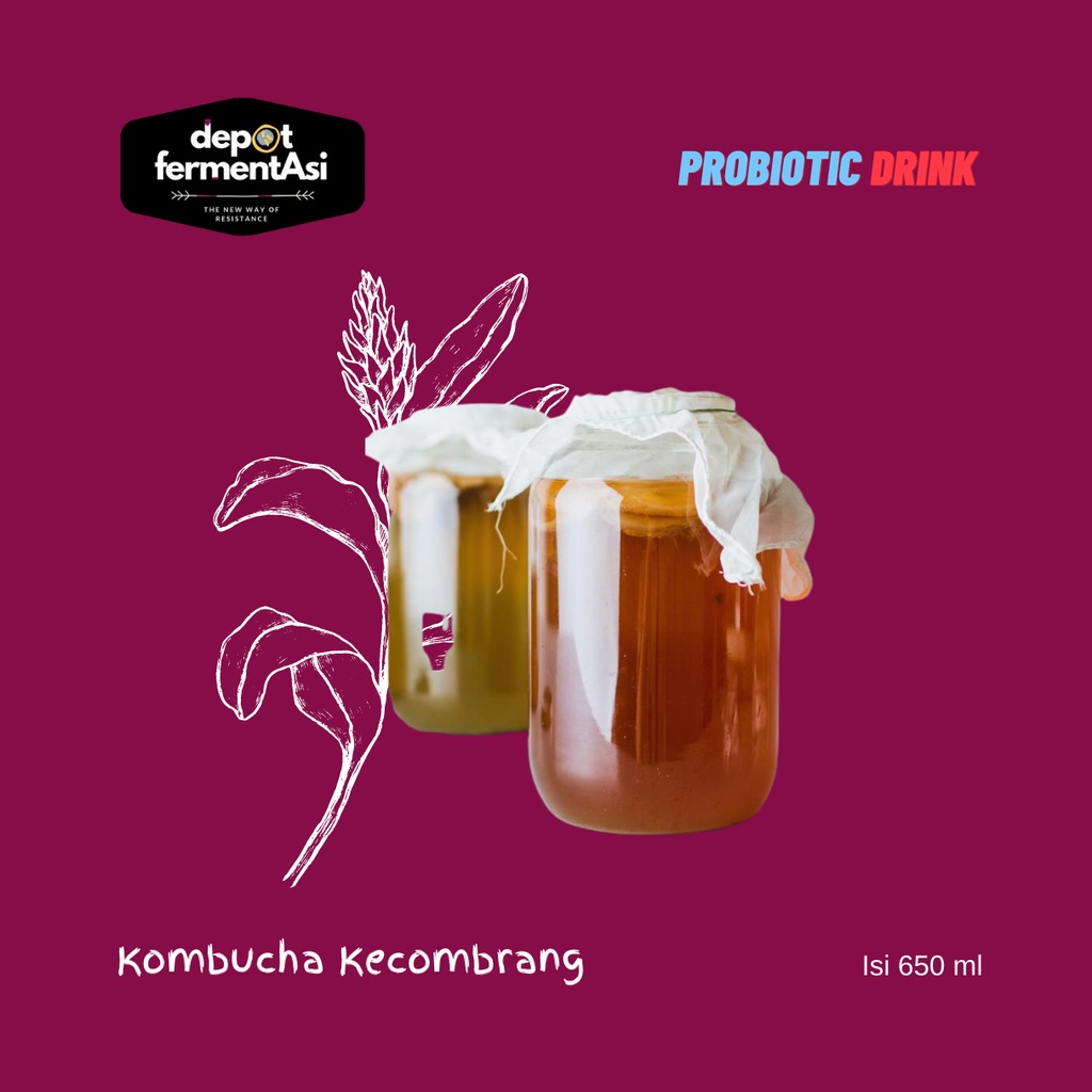 

Teh Kombucha Kecombrang 650 ml | Minuman Probiotik