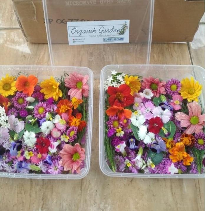 

PRODUK TREND Mix edible flower ✦ 891