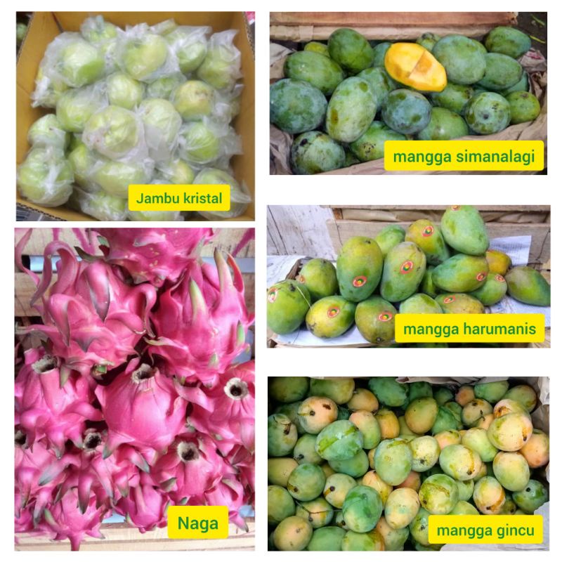 

Buah Naga Mangga Jambu Segar 1 kg