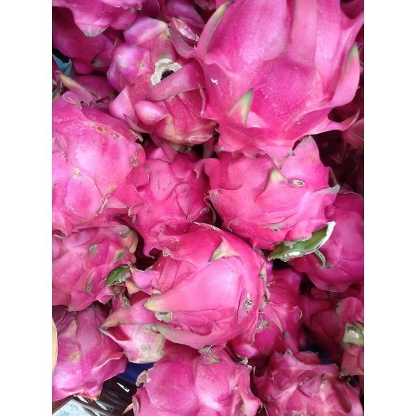 

Buah Naga