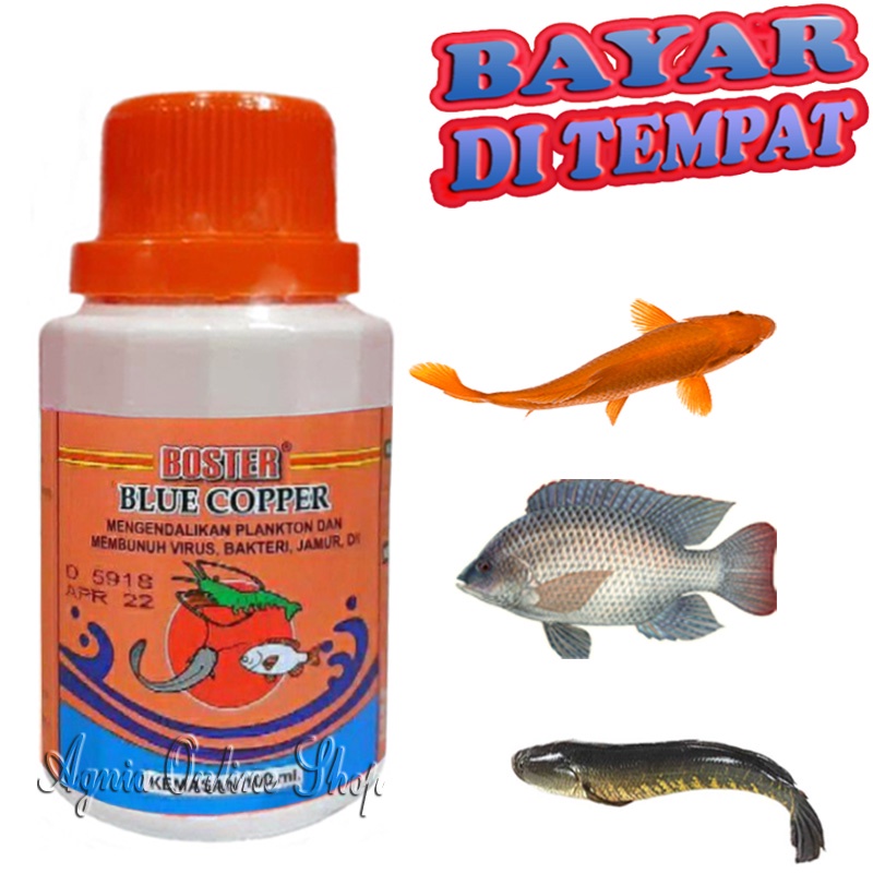 OBAT JAMUR IKAN BLUE COPPER SAKIT KORENG INFEKSI KULIT NILA PATIN MAS LELE GABUS TAWES