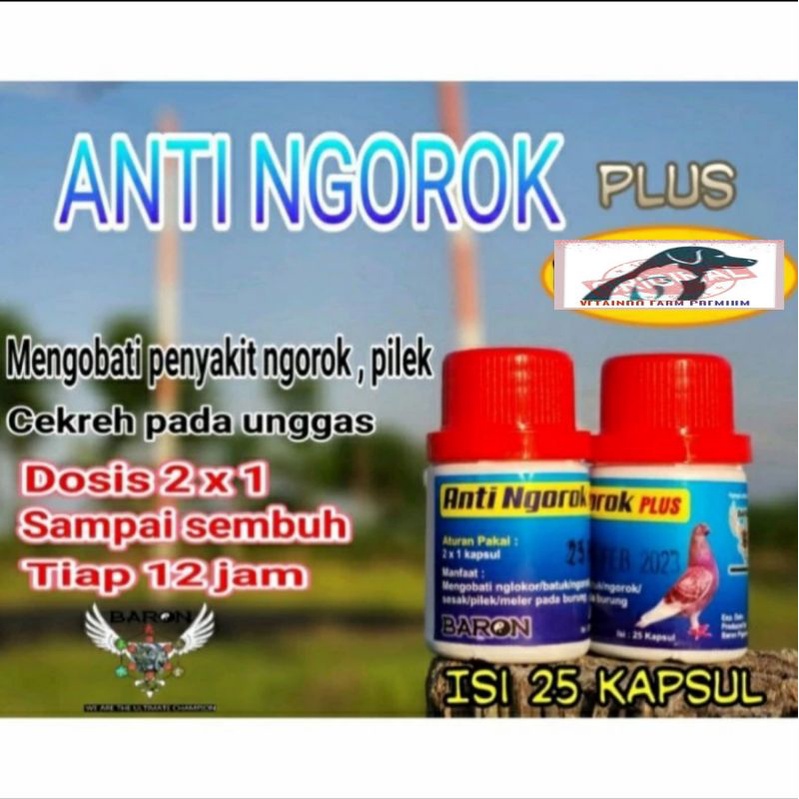 ANTI NGOROK PLUS BARON OBAT BURUNG UNTUK PENAPASAN