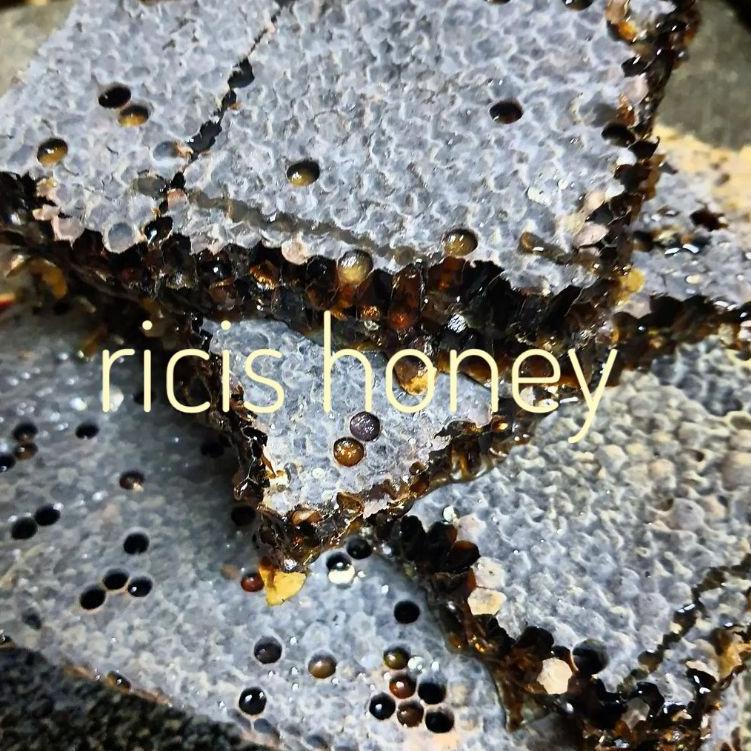 

ღ [[MENGANDUNG BEEPOLEN]]MADU SARANG ASLI RAW HONEY SARANG MADU HONEYCOMB ✔