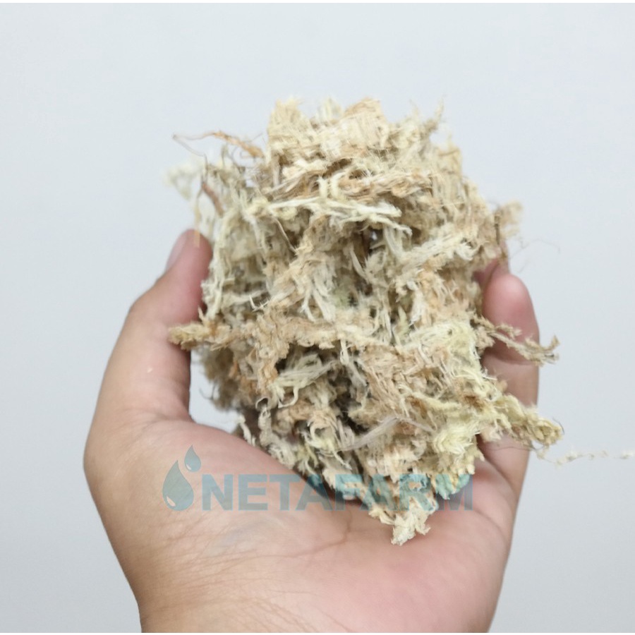 Media Tanam Sphagnum Moss PADAT KERING Dimensi 0,9 KG - 1 pcs