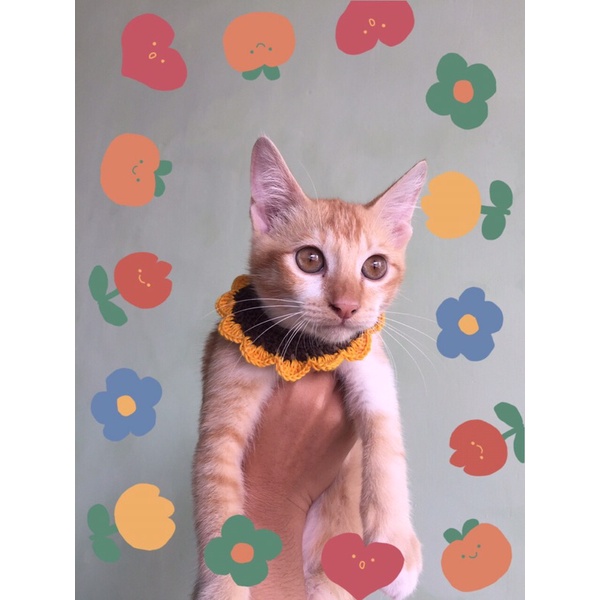 Pet collar crochet/ collar kucing rajut/ kalung kucing