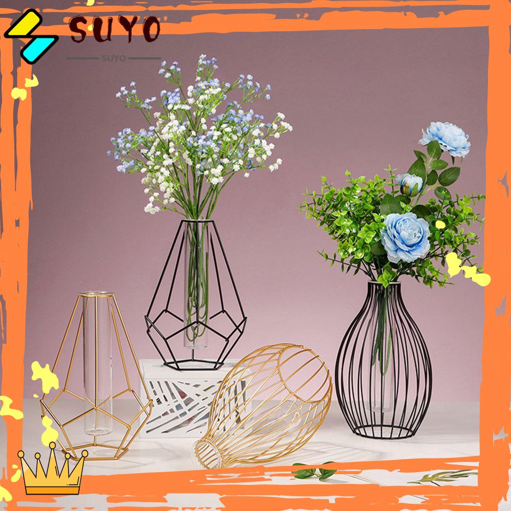 Suyo Vas Seni Besi Nordic Styles Terrarium Metal Holder Dekorasi Rumah Tabung Reaksi Kaca