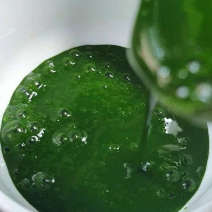 

BAYAR DITEMPAT✔️Endapan pandan murni|KD7