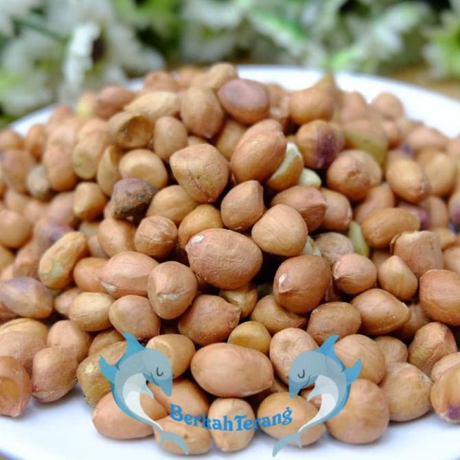 

kacang Tanah Tuban Super 1kg
