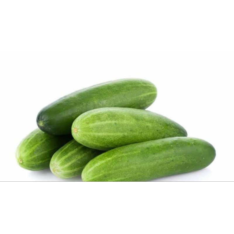 

Timun 500g