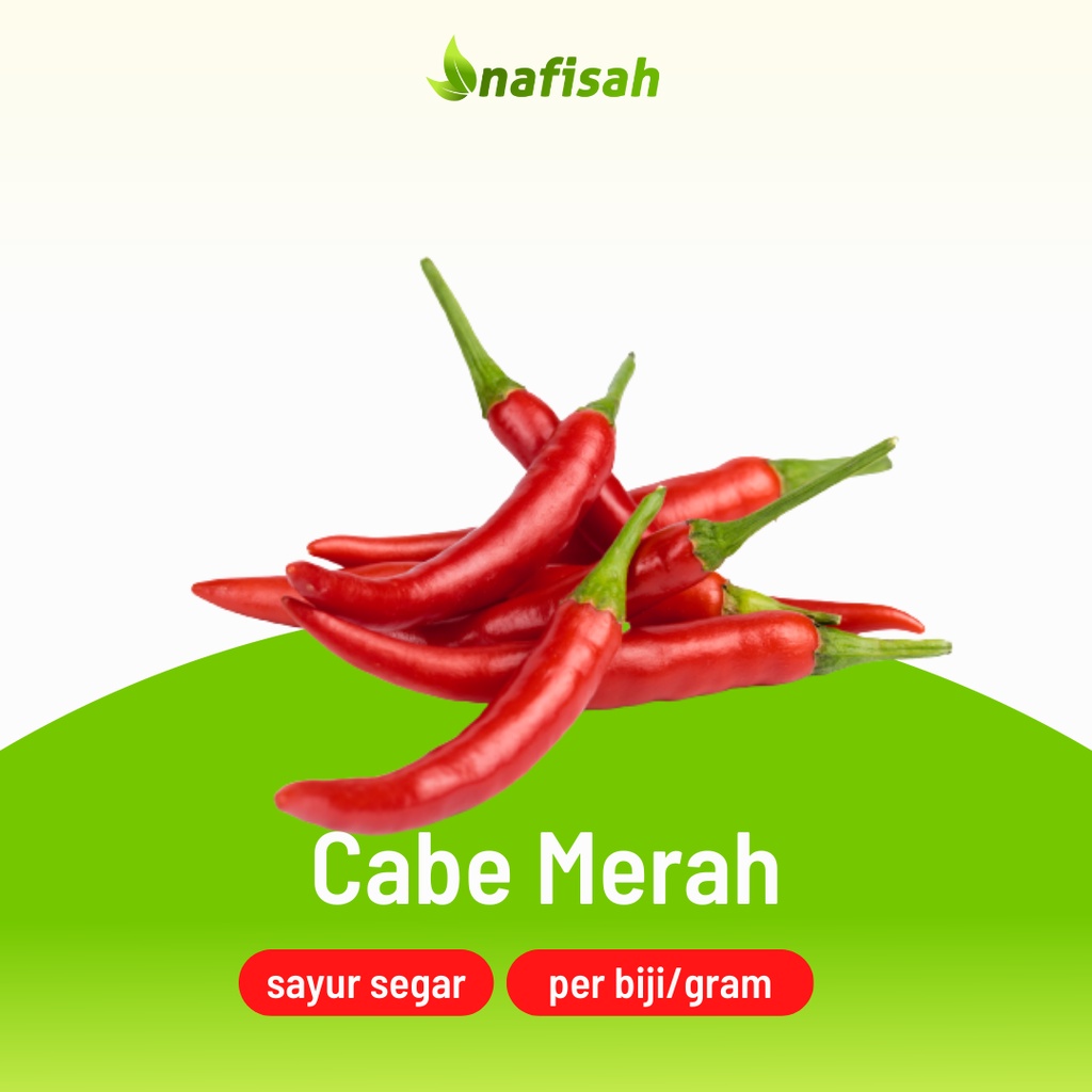 

Cabai Merah Besar | Cabe Merah