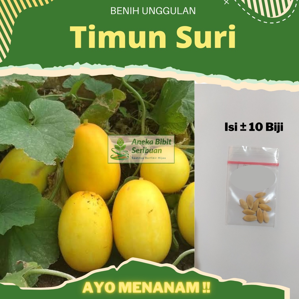 10 Biji - Benih Timun Suri dari Trias Agro