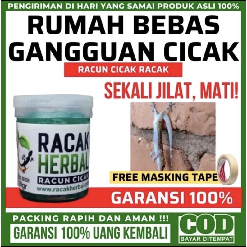 Racun Cicak Herbal Paling Ampuh Racak Herbal Asli Obat Pembasmi Cicak