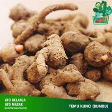 

Temu Kunci Empon Empon Segar Tua Murah serba 3000