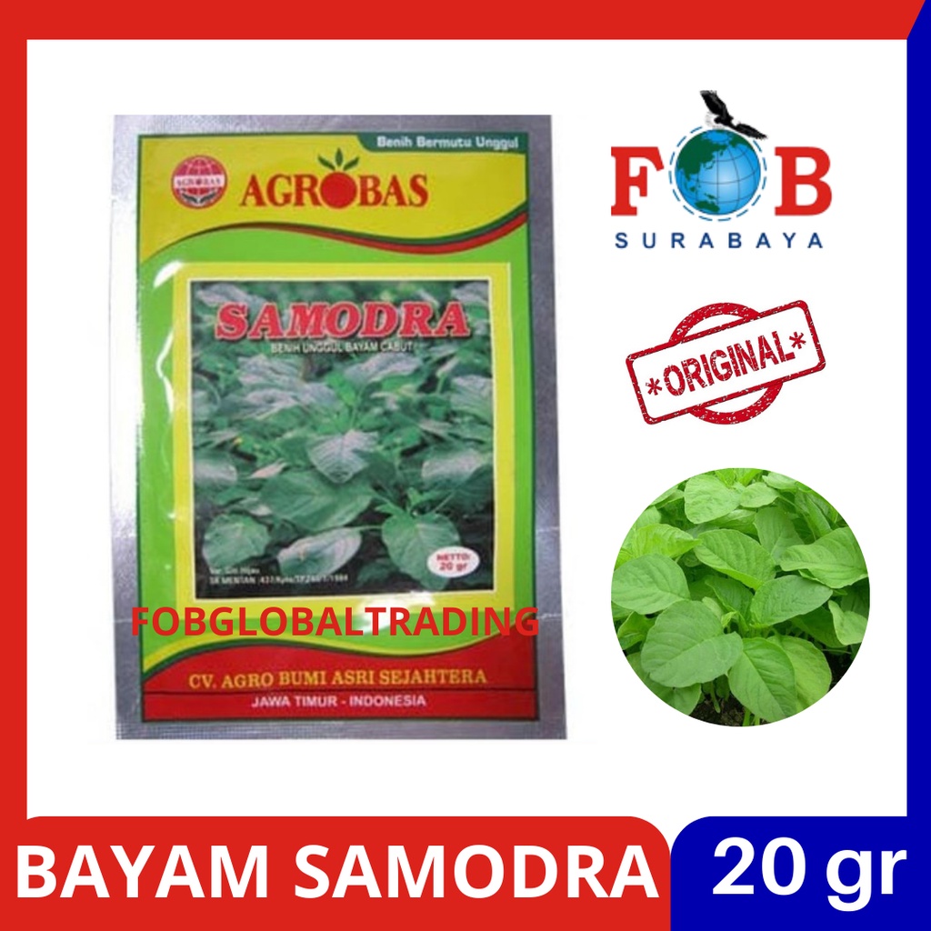 BENIH BAYAM SAMODRA 20GRAM AGROBAS