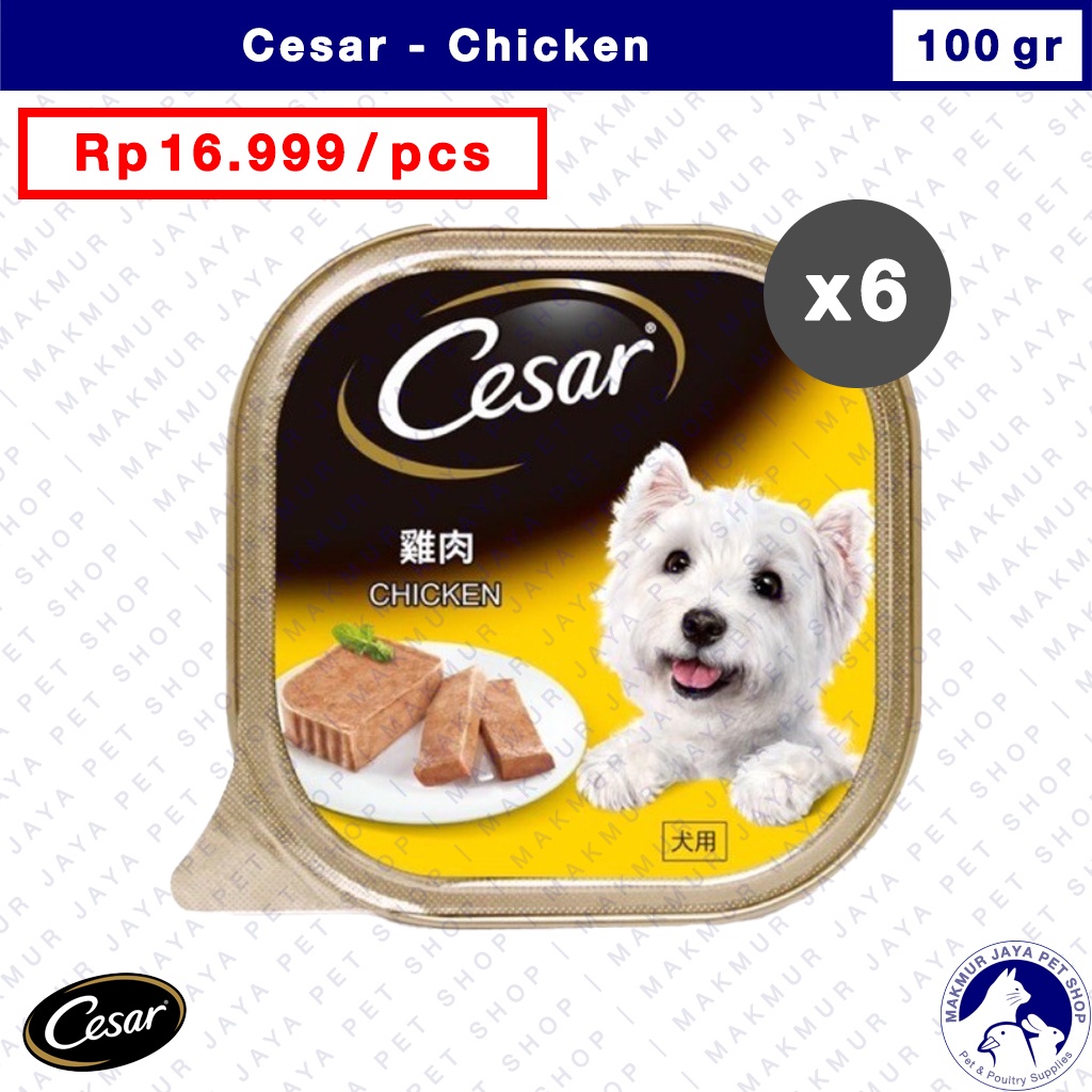 Cesar 100gr Chicken / Wet Dog Food / Makanan Anjing Basah - isi 6