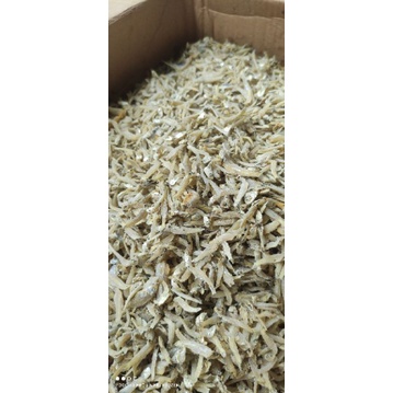 

teri import medan