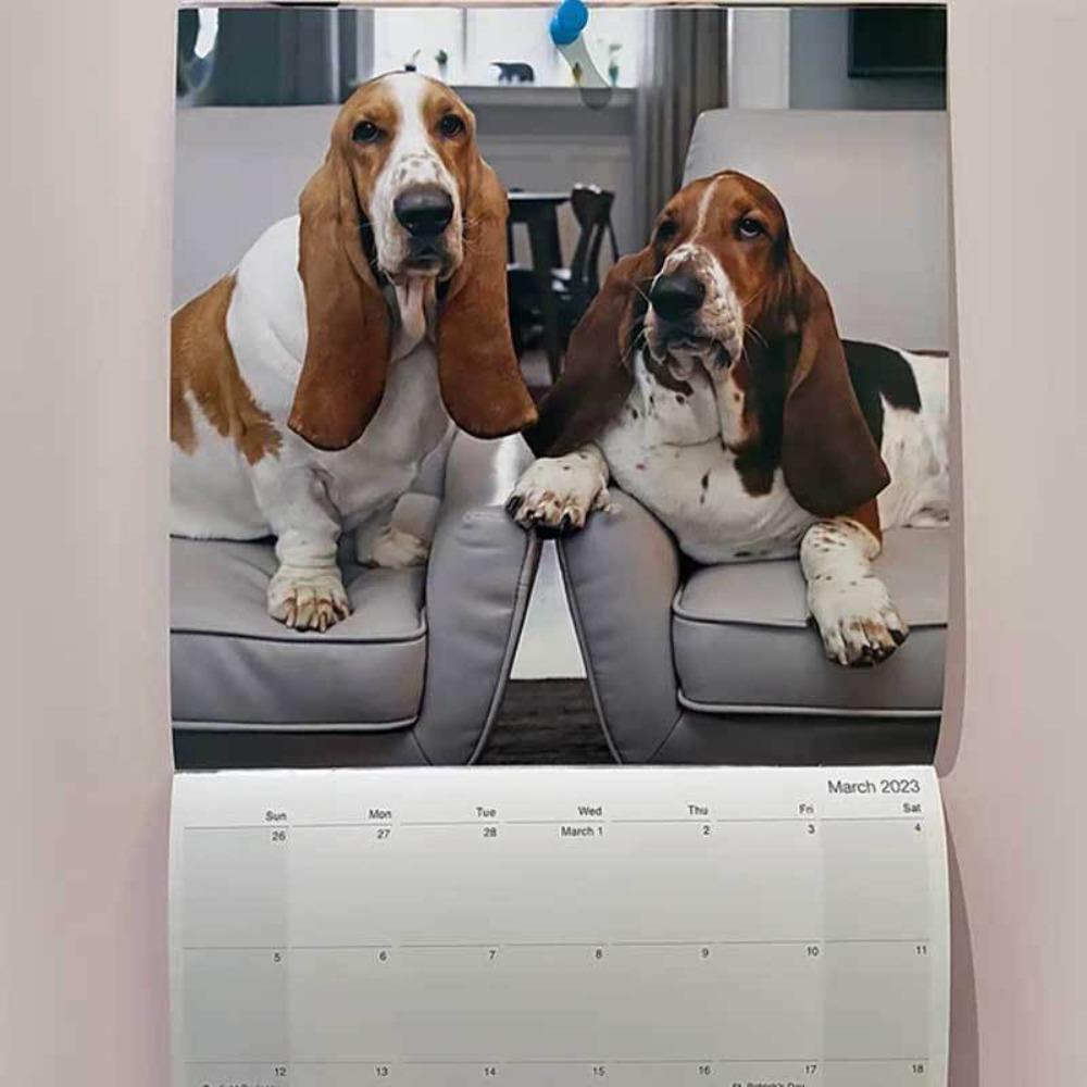 Preva Dean The Basset Hadiah Natal Menggemaskan Anjing Peliharaan Kalender Gantung Kalender Rumah Kantor