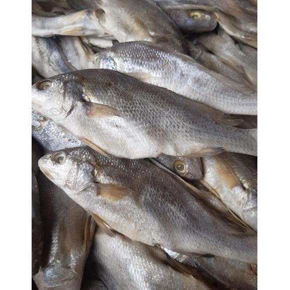 

[X-H5H-✉] Ikan Asin Sileman 500 gr_top produk