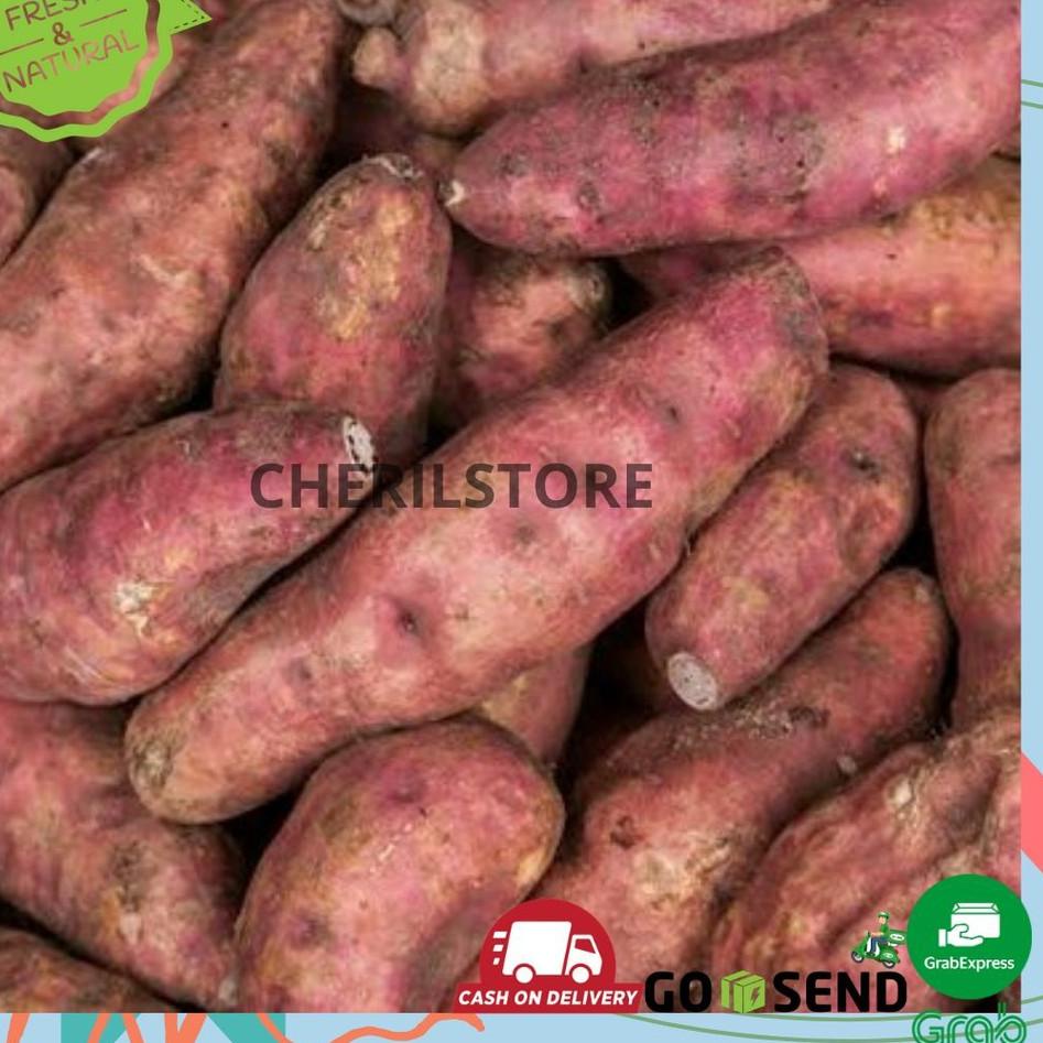 

TERMURAH KETELA / UBI / TELO MADU ♗ 867