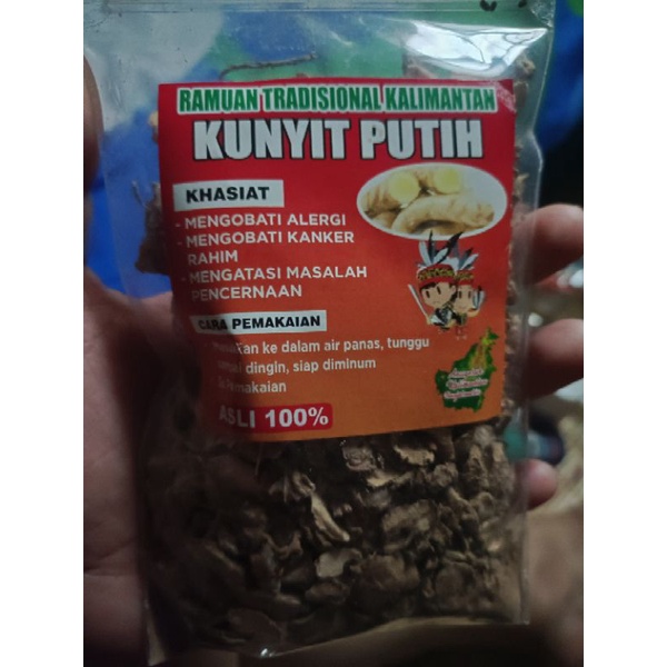 

kunyit putih kalimantan