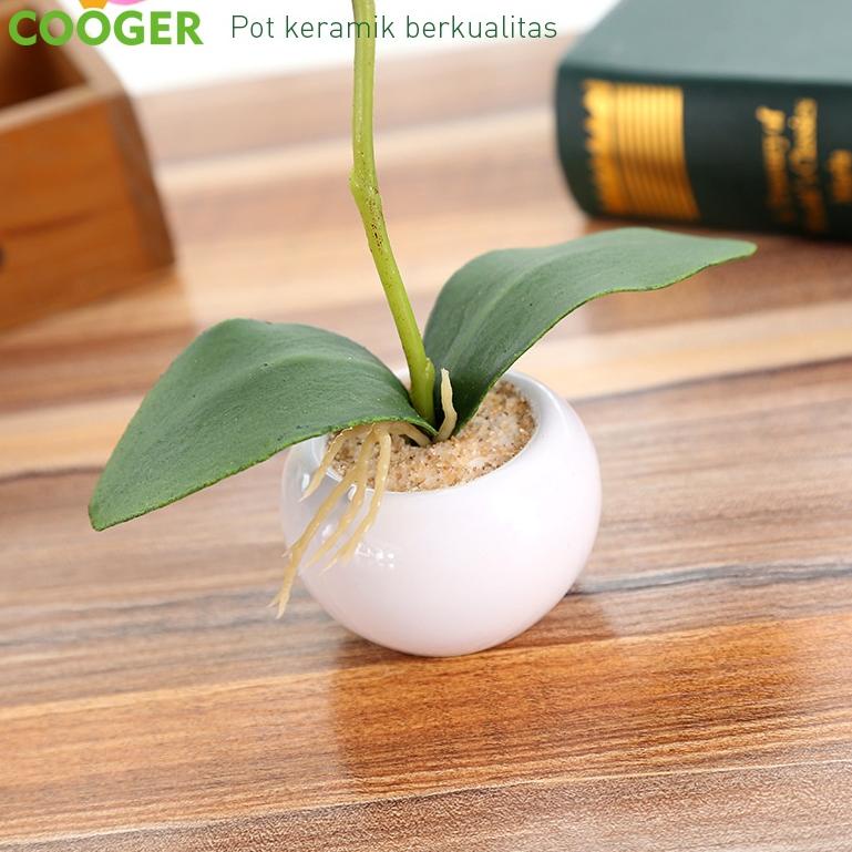 ㅀ 【COD 】AONEZ Outlets Bunga Imitasi Plastik Anggrek Phalaenopsis Dengan Pot Keramik  BIG SALES 2288 