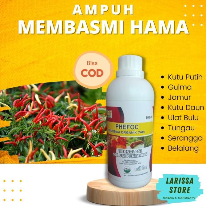 Terbaru Phefoc Dari Pt.Hcs Pembasmi Hama Tanaman Organik
