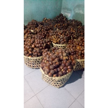 SALAK PONDOH ASLI SLEMAN