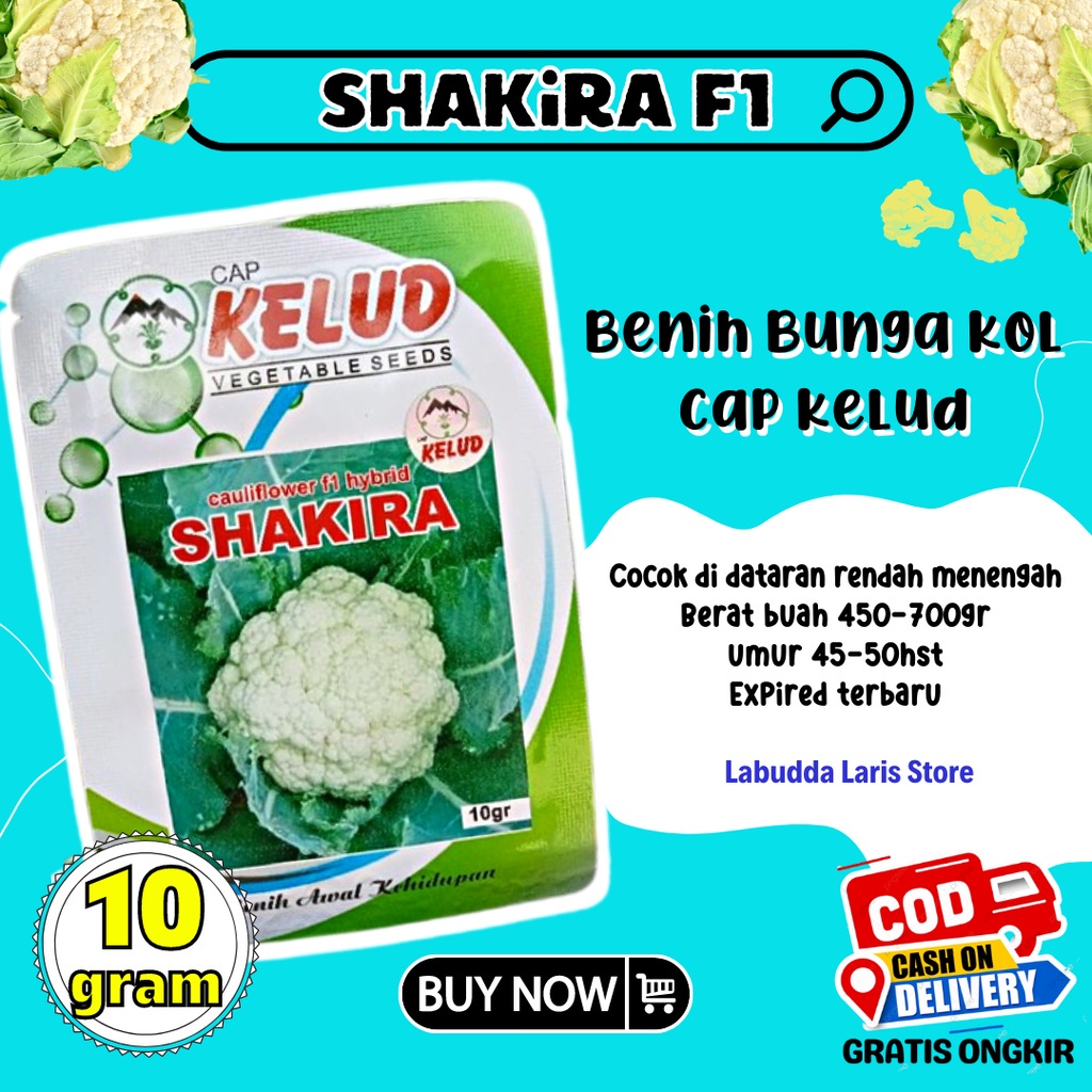 Shakira F1 Benih Bunga Kol Benih Hibrida Kembang Kol Cauliflower Hybrid Shakira F1 10 Gram Cap Kelud