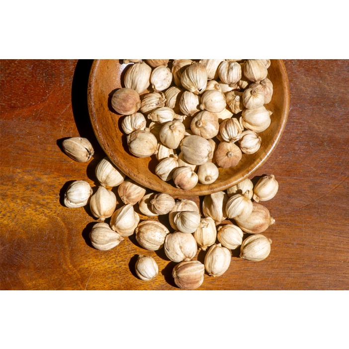 

KAPULAGA PUTIH 25 GR