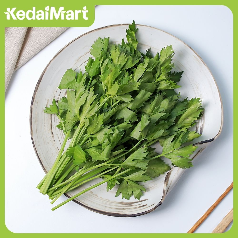 

Daun Seledri 250 Gram/Daun Seledri Hijau Segar/Celery Fresh