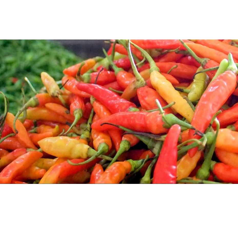 

[PRODUK 9VYCT] FCW - Cabe Rawit Merah 250 Gram RJR