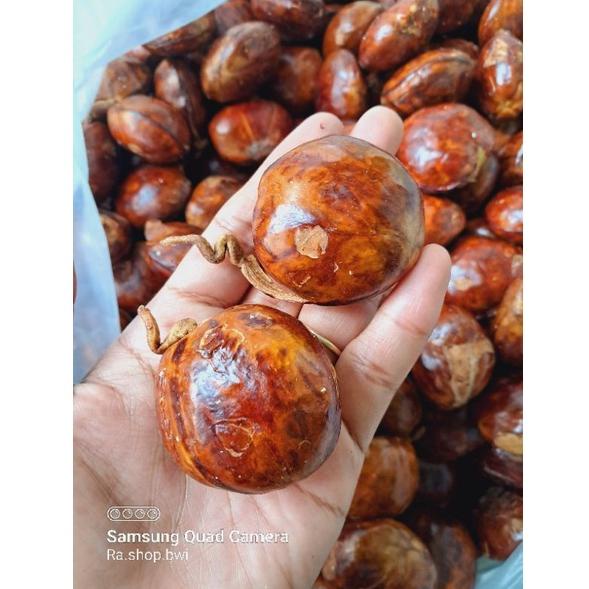 

[H-8@O ✔) Jengkol Tua/jengkol punel berat 500gram amanah