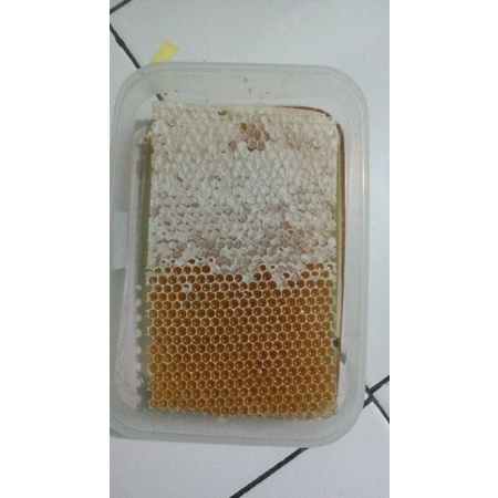 

Madu sarang 500 gr