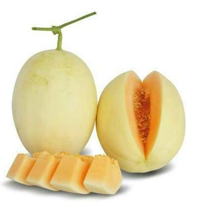 ポ biji benih buah melon golden white kirani (10 biji) ㊰