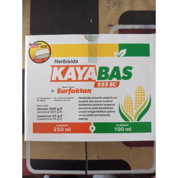 KAYABAS