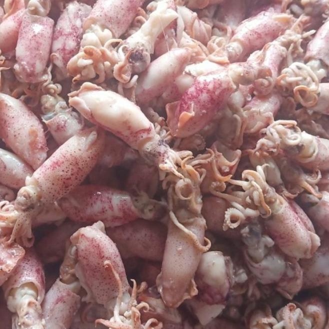 

limited Edition✔️Ikan asin cumi Beby 500gr 1sampai 4cm/cumi asin baby /rebus/basa/cumi asin baby|SQ7