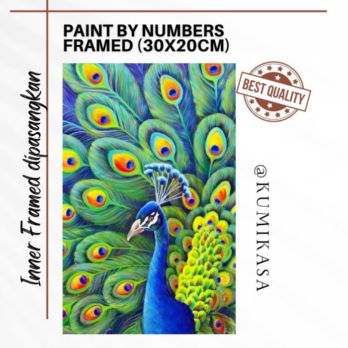 DIY PAINTING BY NUMBER 30X20 KERAJINAN TANGAN - PEACOCK BEAUTY