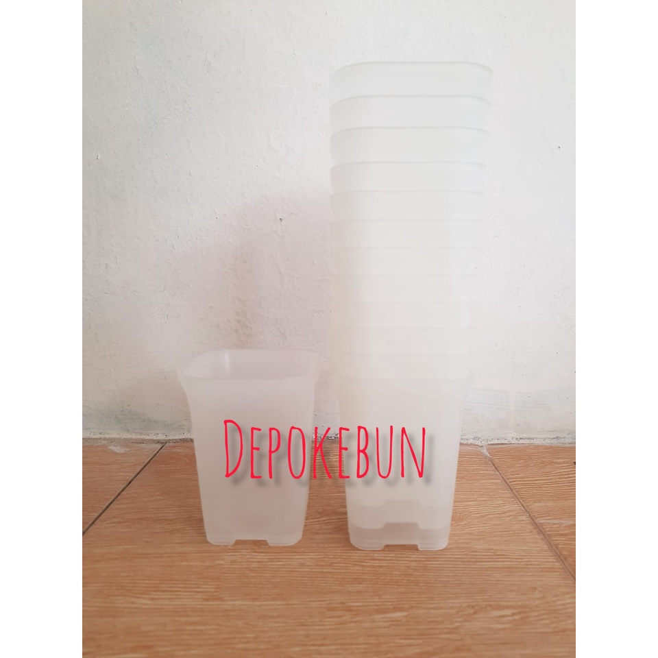 POT NKT SEGI 12 BENING POT 12 POT BENING POT PLASTIK