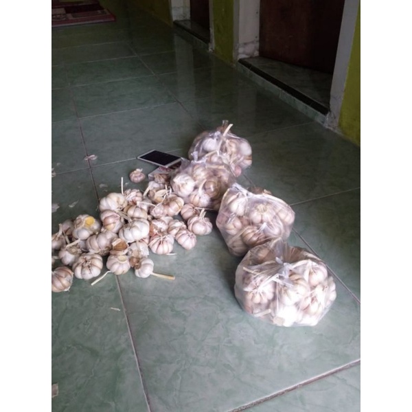 

Bawang putih