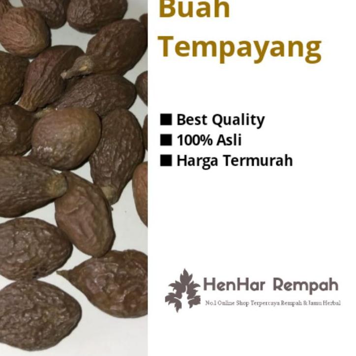 

[KODE PRODUK GEP779487] Buah Tempayang / Buah kembang semangkok / Beng ta hai 100 gram
