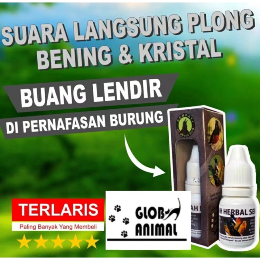 OBAT PENJERNIH SUARA BURUNG anti suara serak berlendir obat gurah