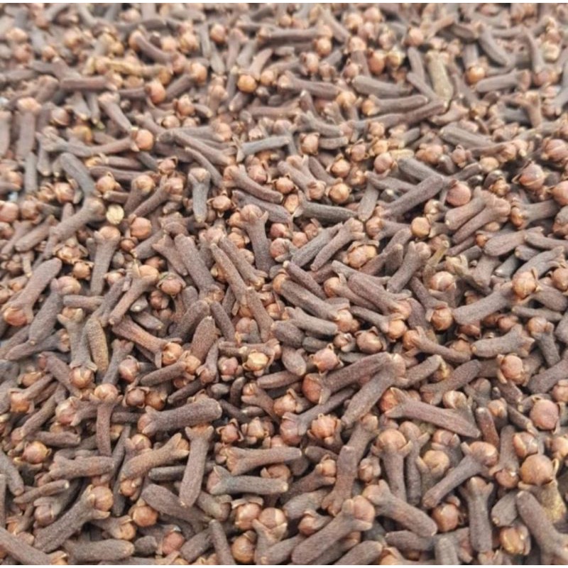 

Cengkeh Kering Super / Dried Whole Cloves ORGANIK