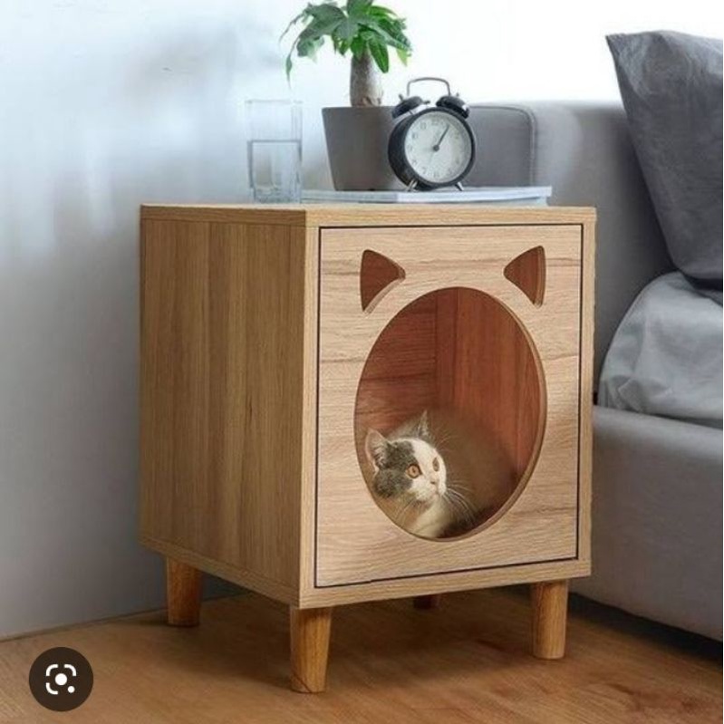 rumah kucing box kucing