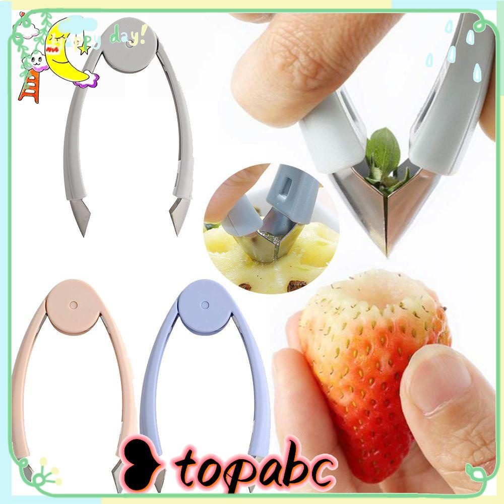 Top Pineapple Eye Peeler Tomat Strawberry Home Penghilang Biji Buah