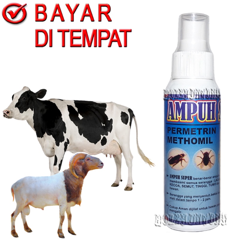 AMPUH SUPER OBAT KUTU SAPI KAMBING PEMBASMI PARASIT CAPLAX TUNGAU