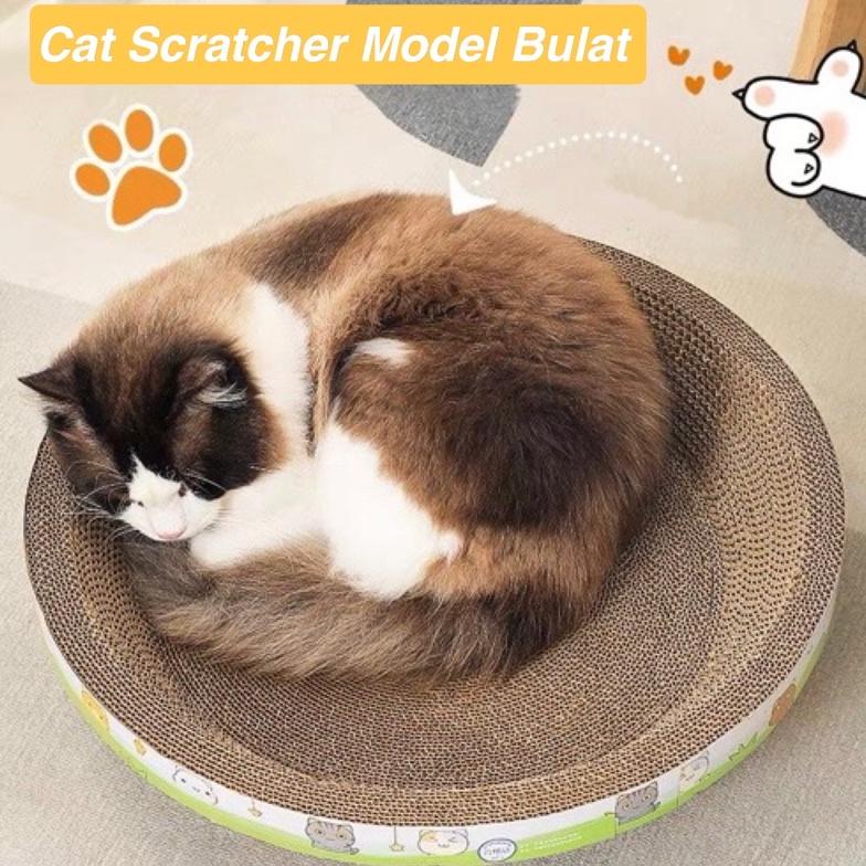 Cat Scratcher Box Cakar Model Bulat Untuk Kucing - Garukan Kucing Cat Scratcher | Cakaran Kucing | P