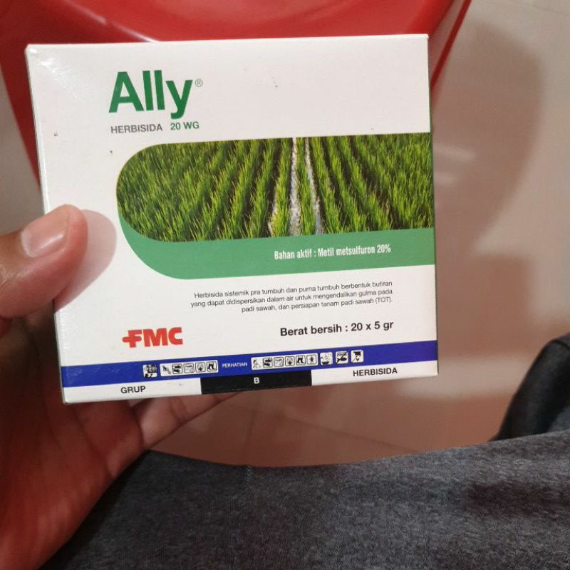 ally 20wg